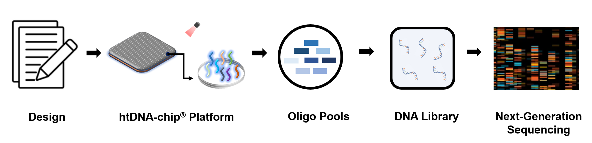 htDNA-chip platform in gene library preparation process