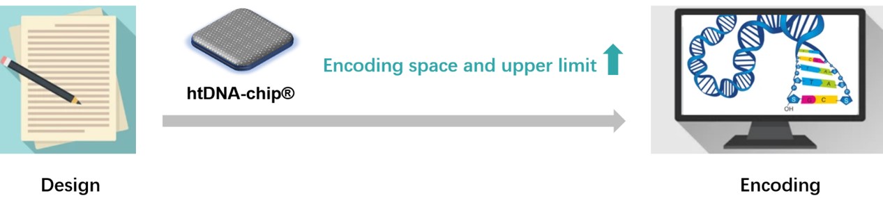 htDNA-chip in the process of DNA encoding in DNA data storage