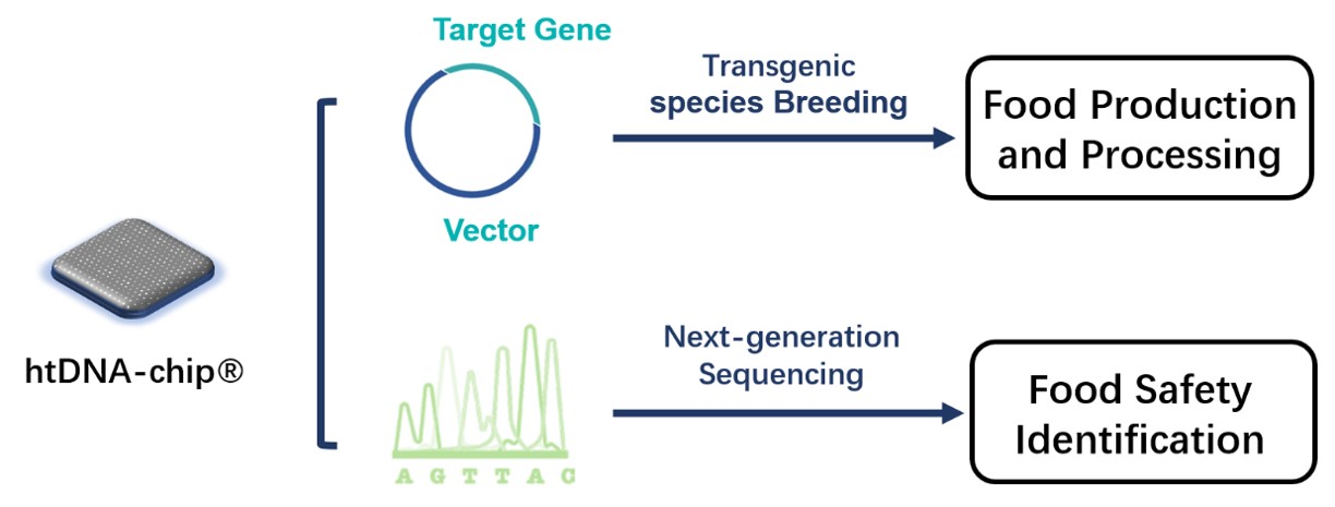 htDNA-chip in the process of food industry