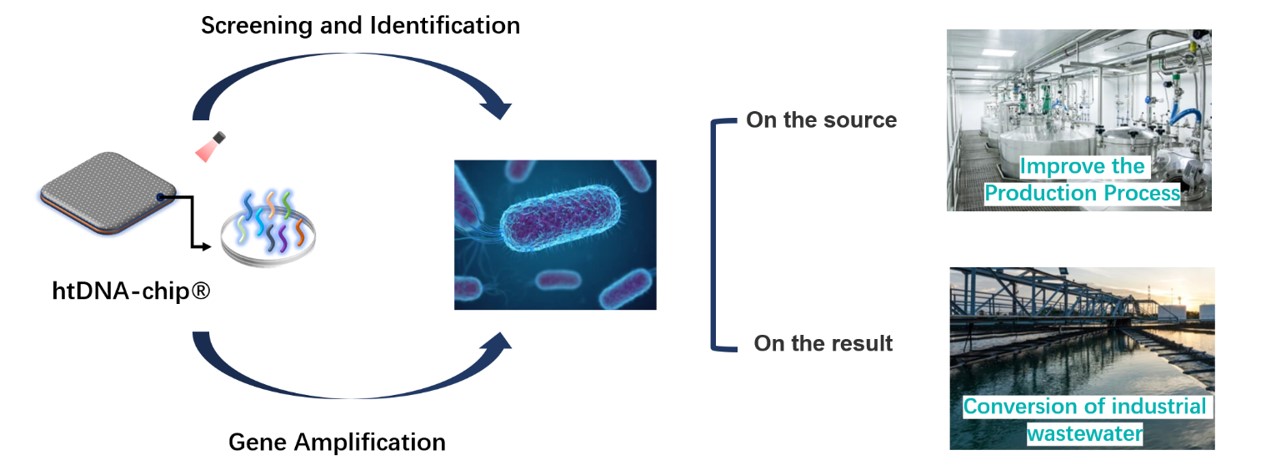 htDNA chip in the process of the the way to solve industrial pollution